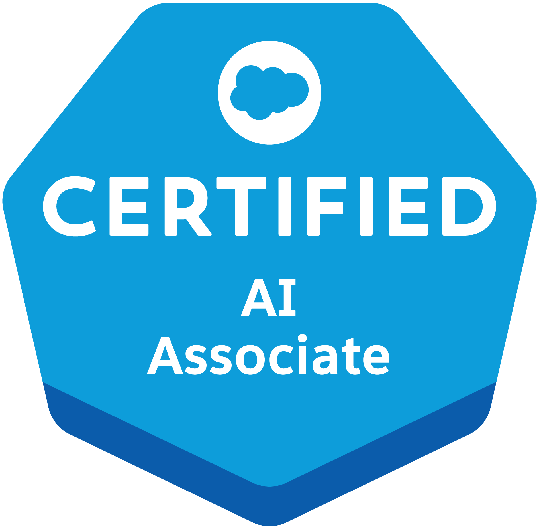 Salesforce Certified Associate